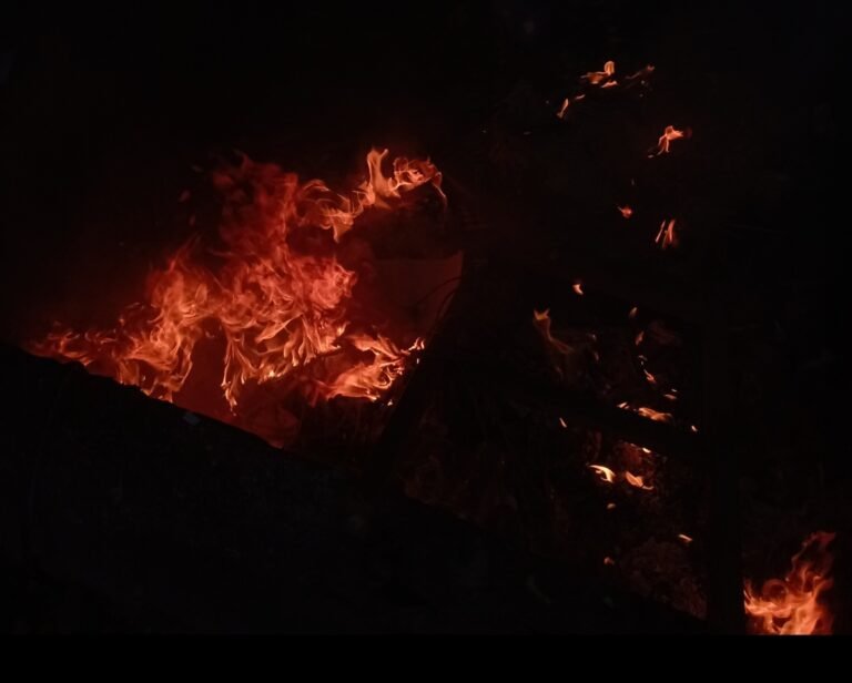 u3-Screenshot_2026-03-25-11-45-14-341_com.miui_.gallery-edit